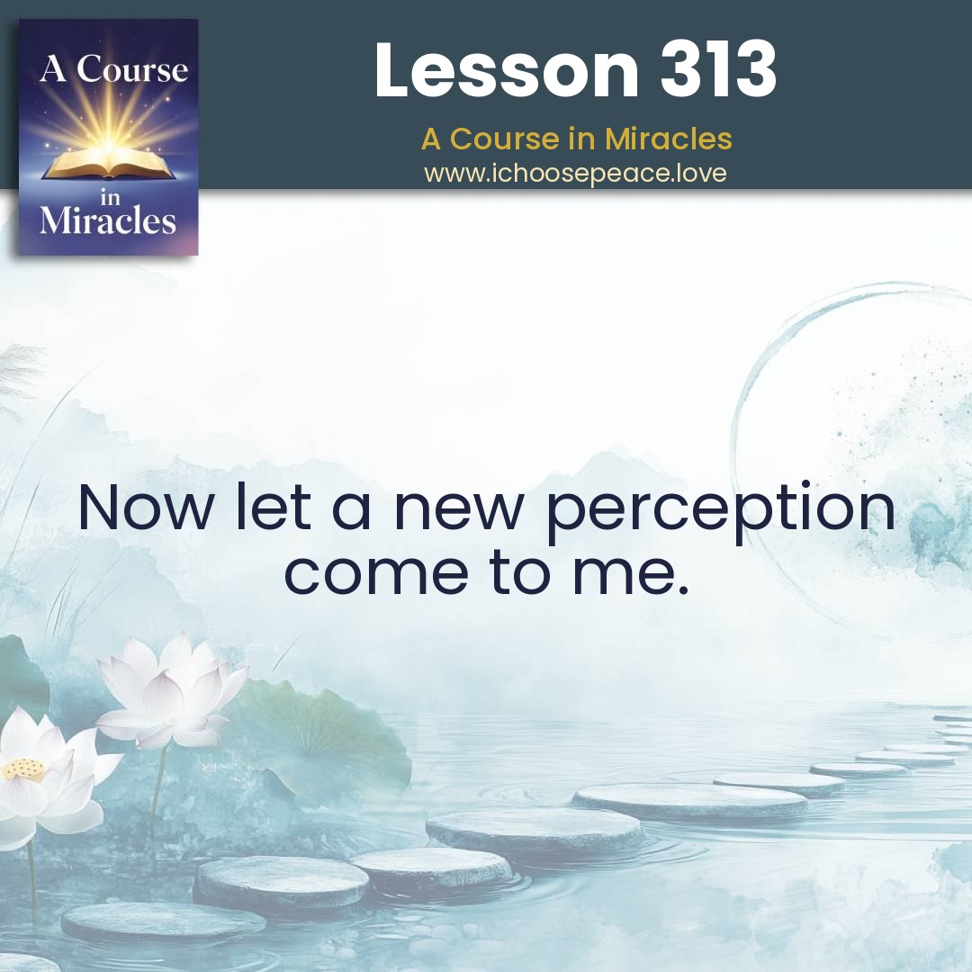 Lesson 313