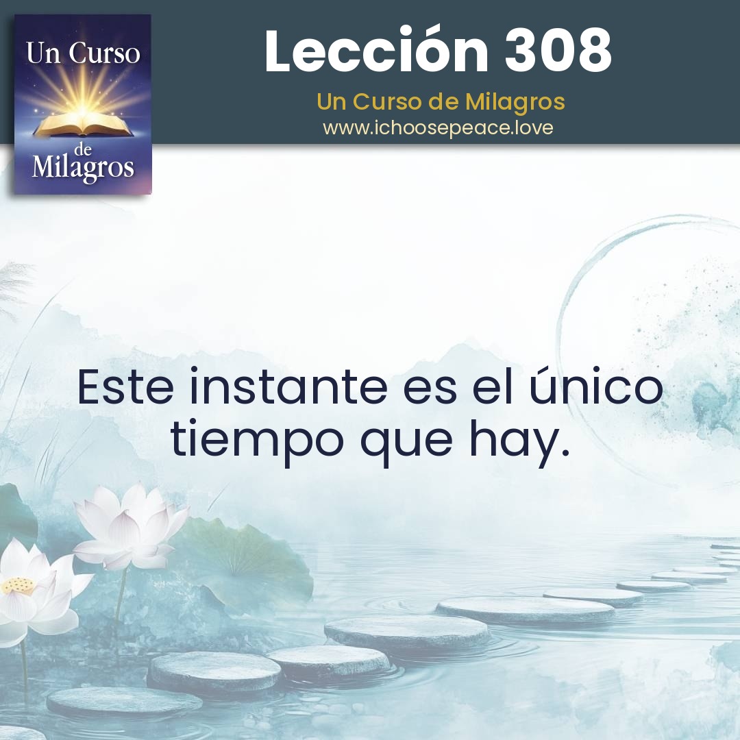 Lección 308
