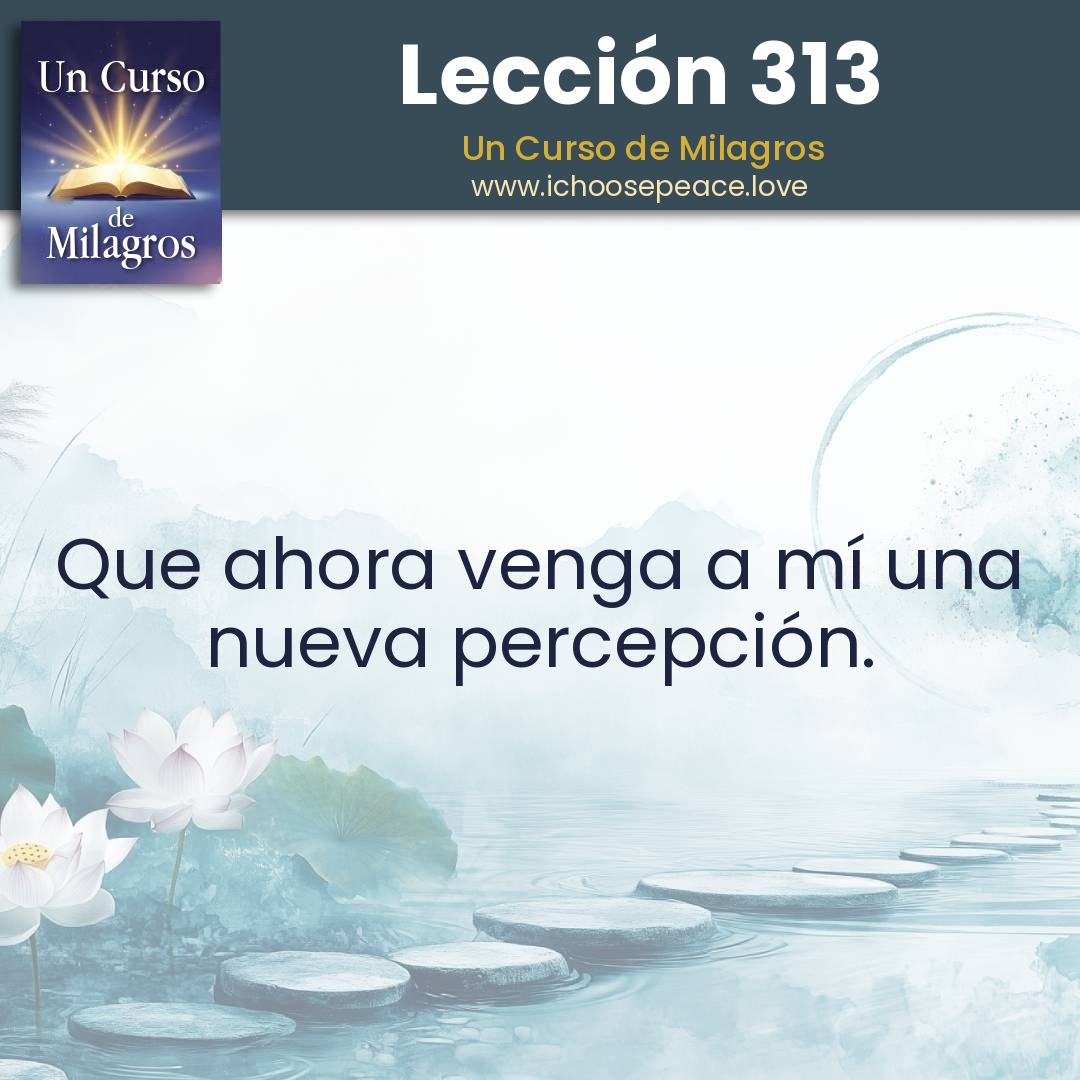 Lección 313
