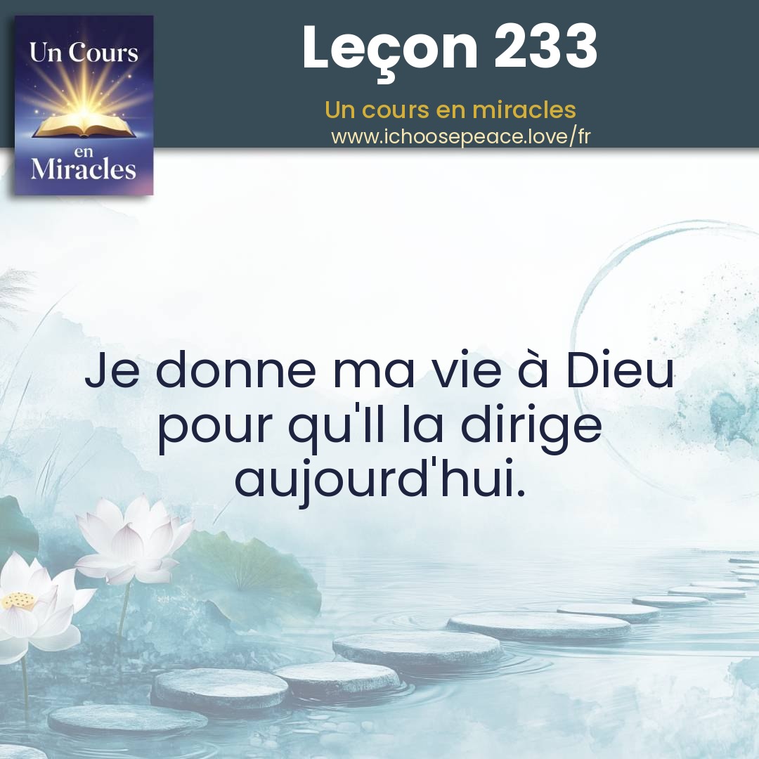 Leçon 233