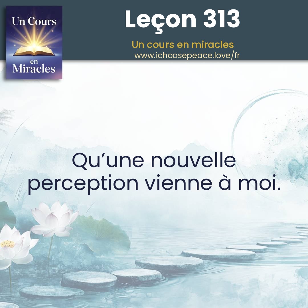 Leçon 313