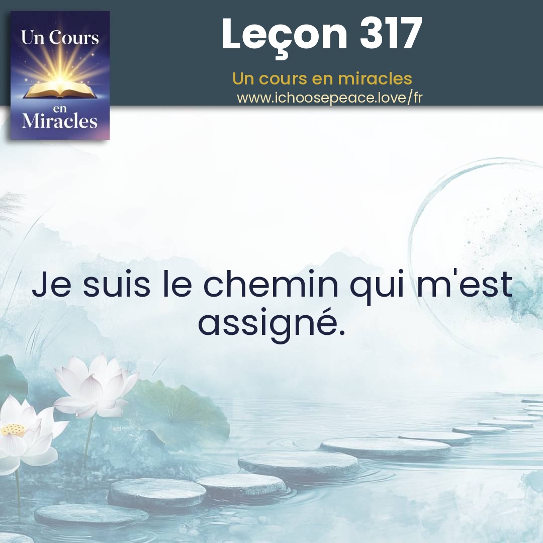 Leçon 317